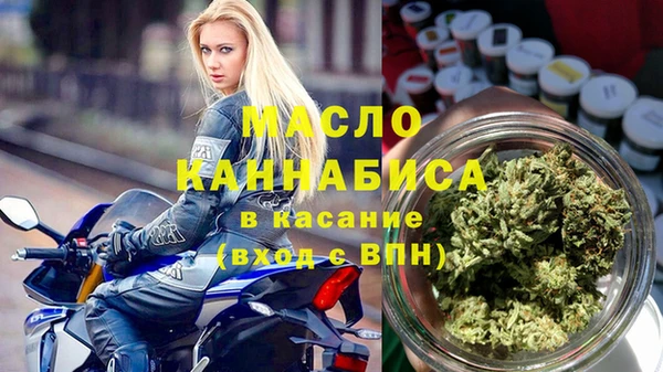 спиды Вяземский